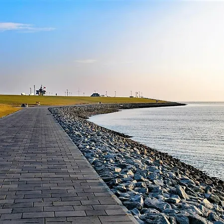 Deichwiesen Büsum